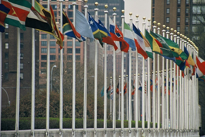 UN Members Flags | ThinkTank, Featured from Narratives Magazine