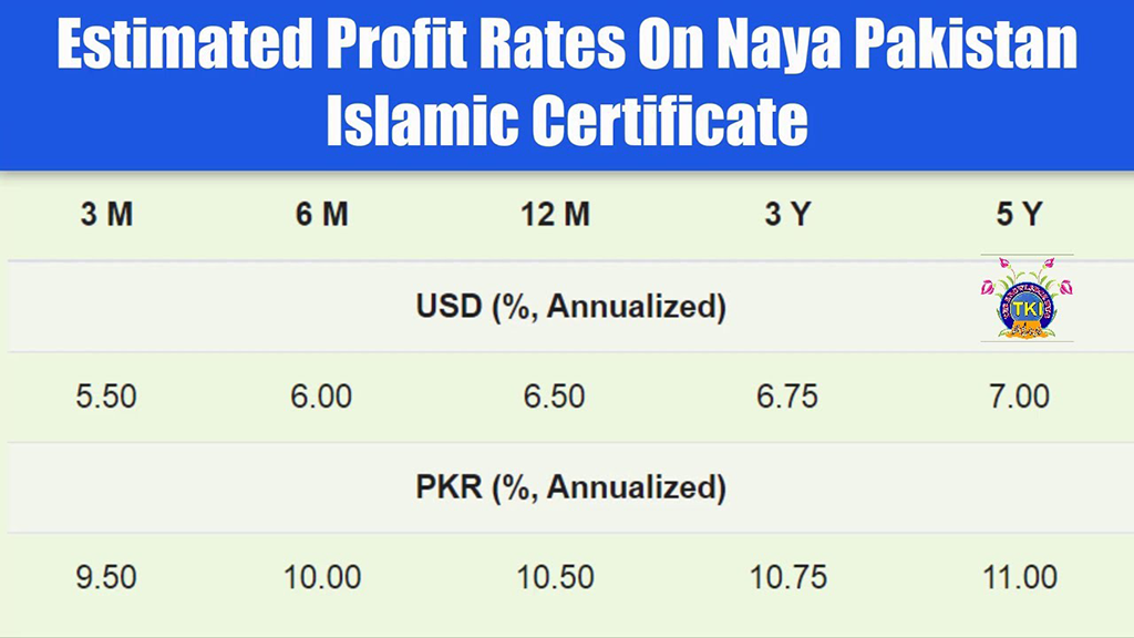 maxresdefault 1 | Naya Pakistan Certificates (NPCs) from Narratives Magazine