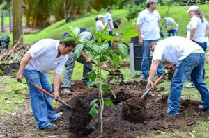 Planting Trees | InFocus from Narratives Magazine