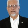 Category Template - Week PRO NARRATIVES 4 | from Narratives Magazine Dr Waqar Masood Khan