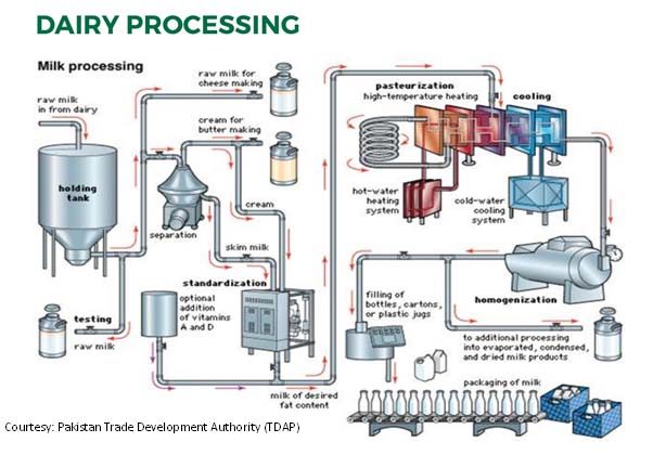 Dairy Processing Diag 3 edited | Pakistan Dairy Industry from Narratives Magazine