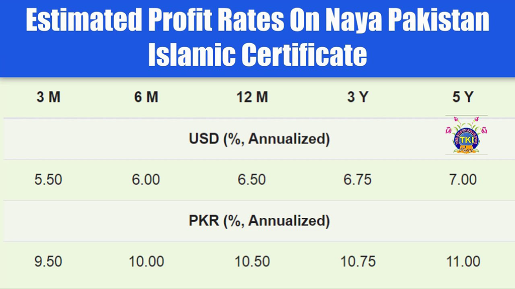 maxresdefault 1 | State Bank of Pakistan (SBP) from Narratives Magazine